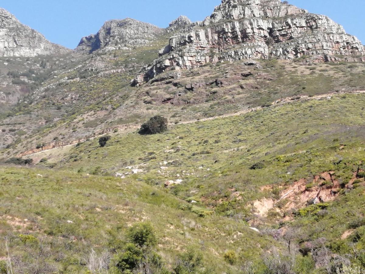 Disa Park 16th Floor With Views * Cape Town